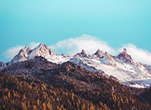 西西帕斯2020遗憾多于惊喜 “00后”多人表现亮眼